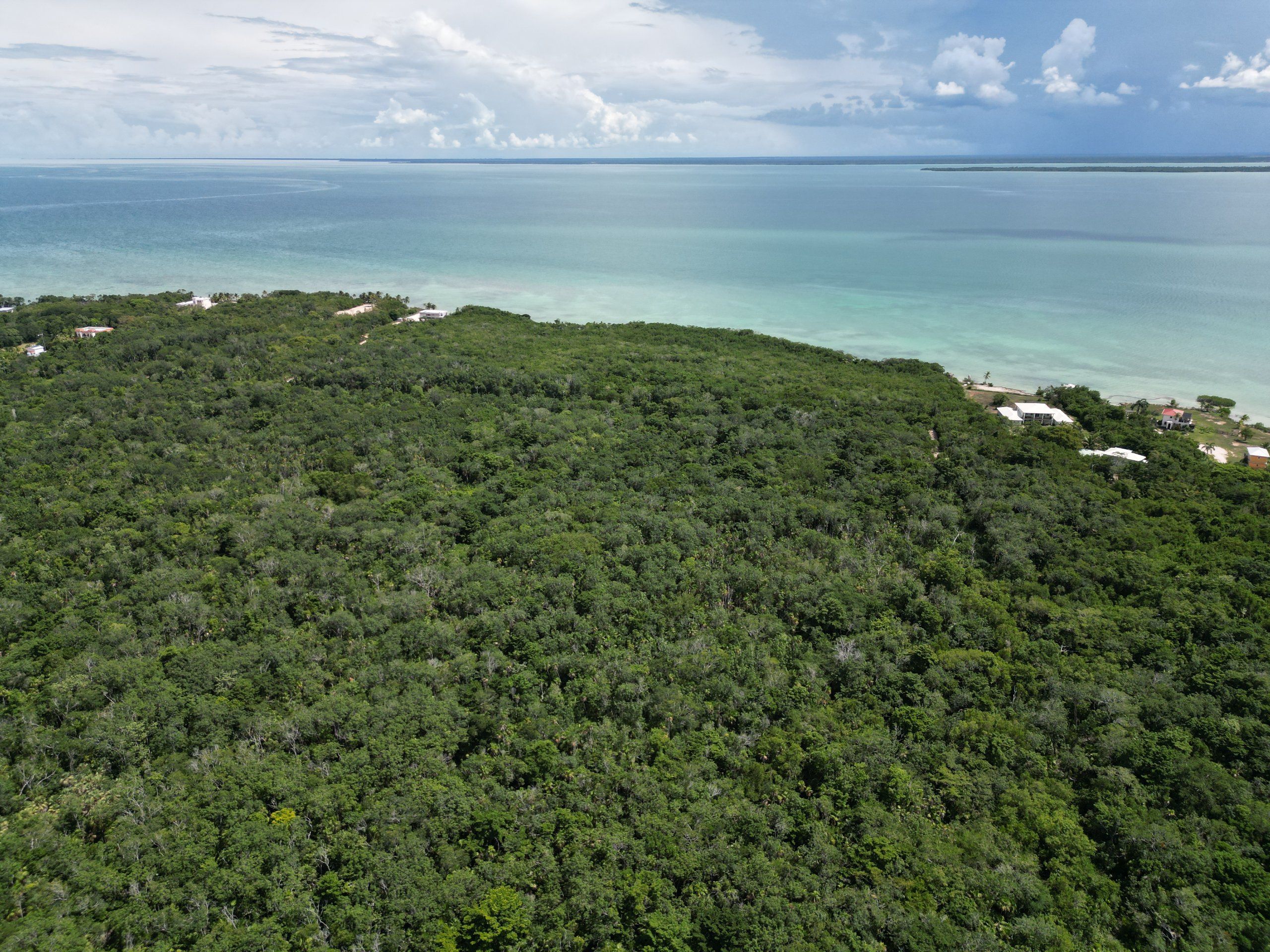 20 Acres of Land for Sale in Corozal, Belize | Highland Property Near Sea & Corozal Town — view 2