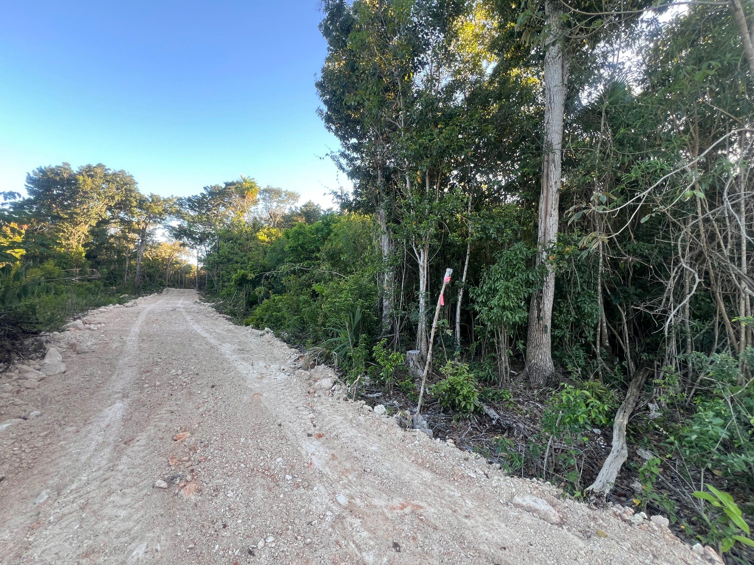 0.25 Acre Seaview Lots for Sale in Warree Bight Corozal Belize | Santiago Coastal Estates Near Corozal Bay | Affordable Coastal Land from $45K USD in Belize — view 3