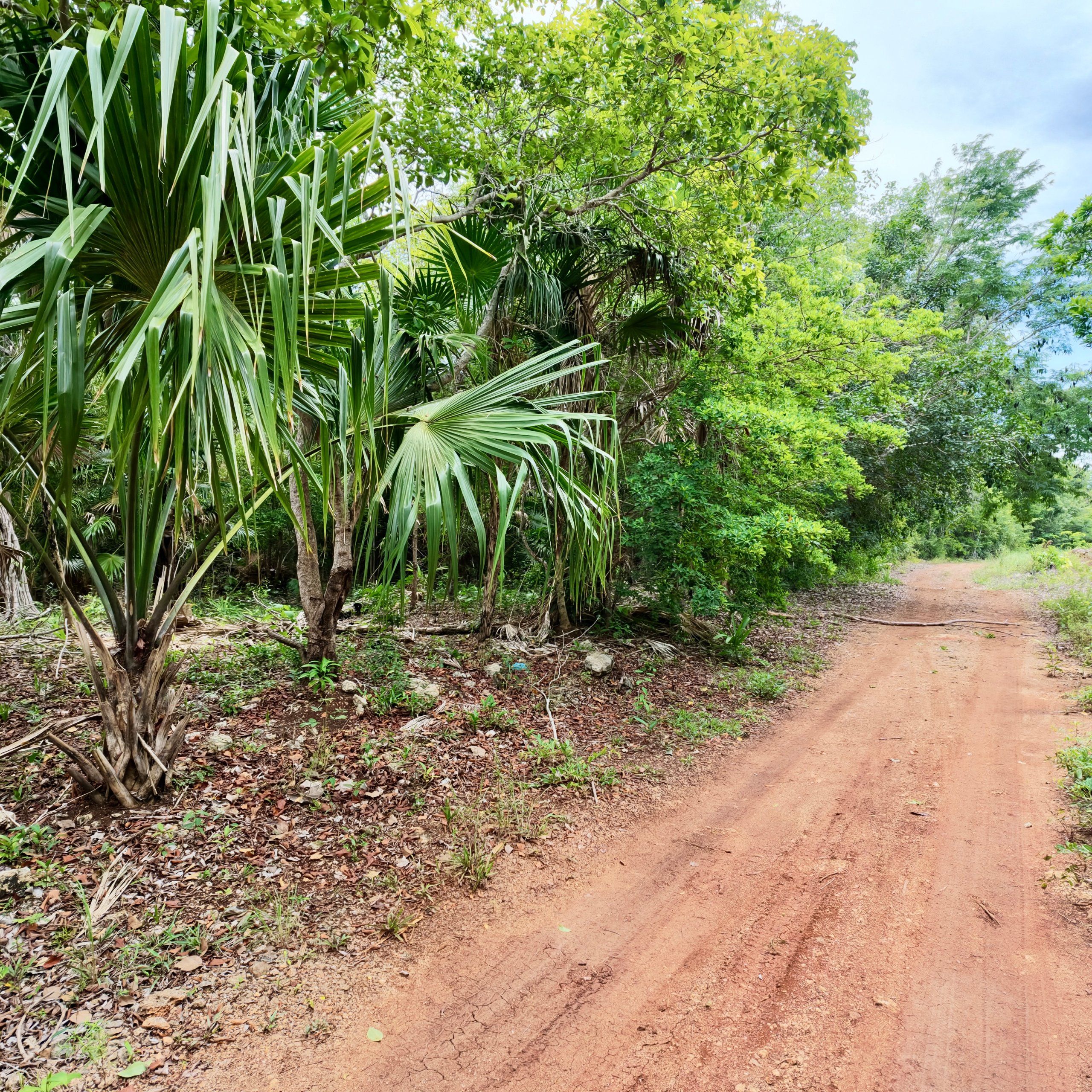 754 SQM Off-Grid Lot for Sale in Sarteneja, Corozal Belize | Affordable Land — view 4