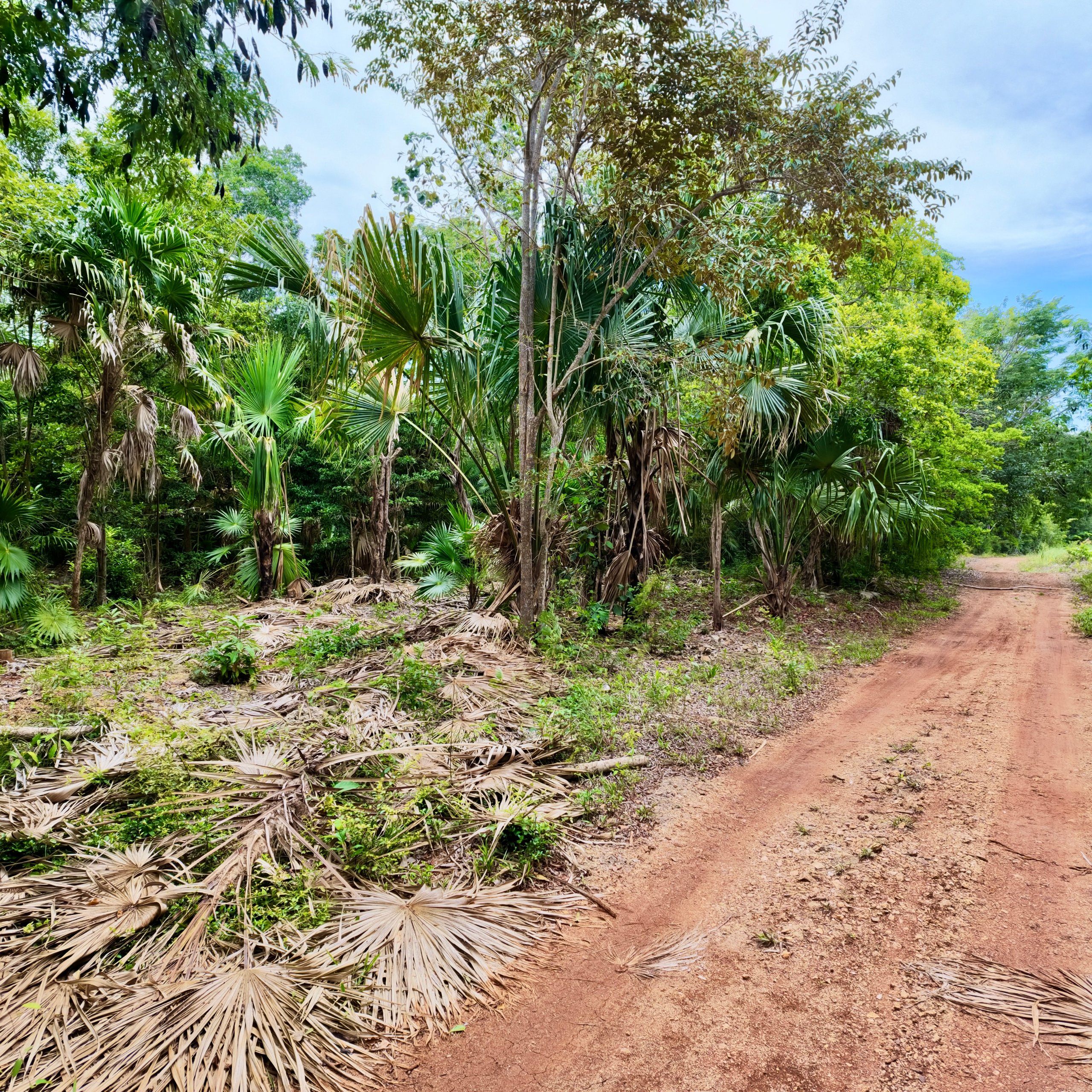 754 SQM Off-Grid Lot for Sale in Sarteneja, Corozal Belize | Affordable Land — view 5