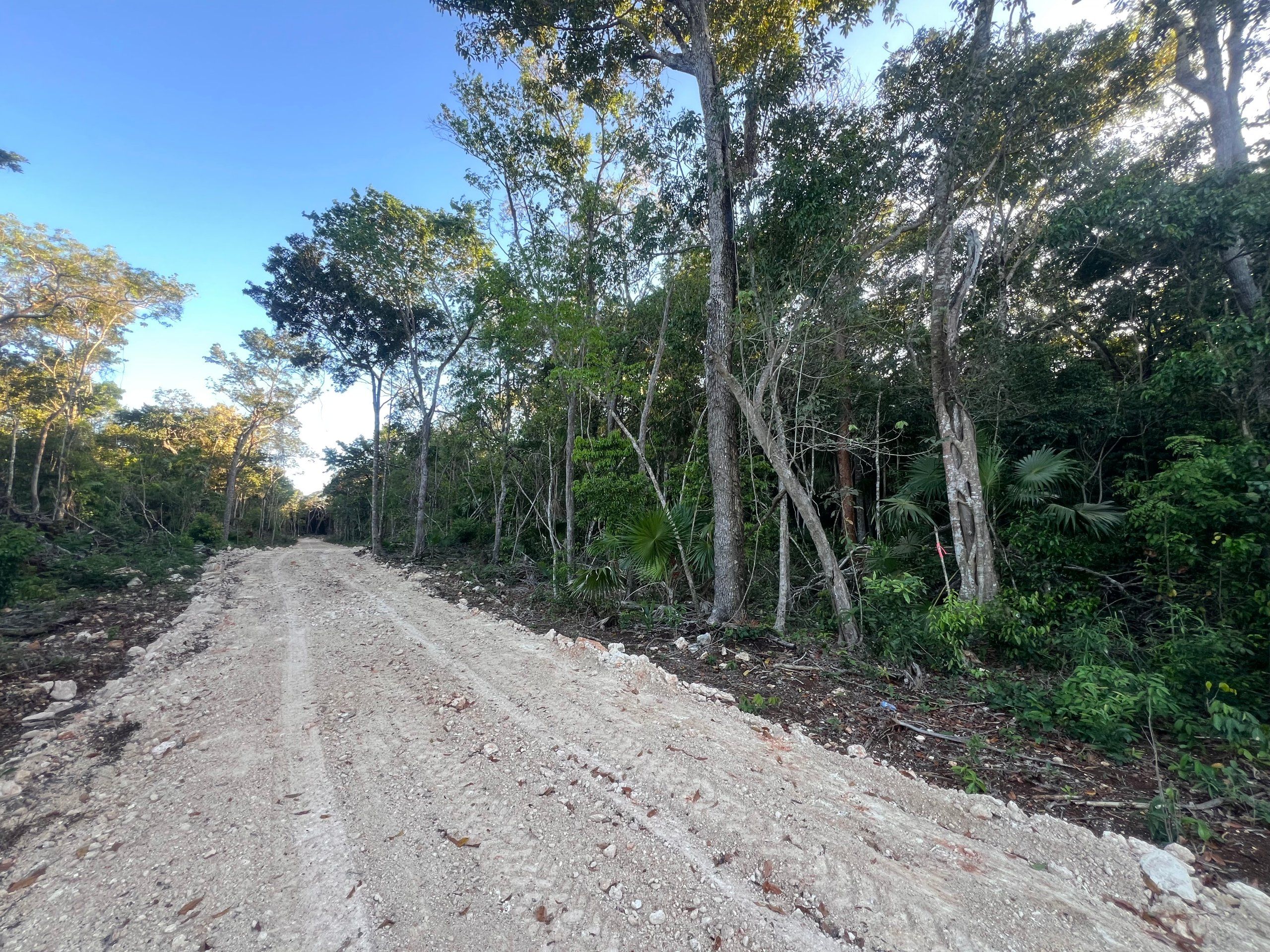 0.25 Acre Seaview Lots for Sale in Warree Bight Corozal Belize | Santiago Coastal Estates Near Corozal Bay | Affordable Coastal Land from $45K USD in Belize — view 2