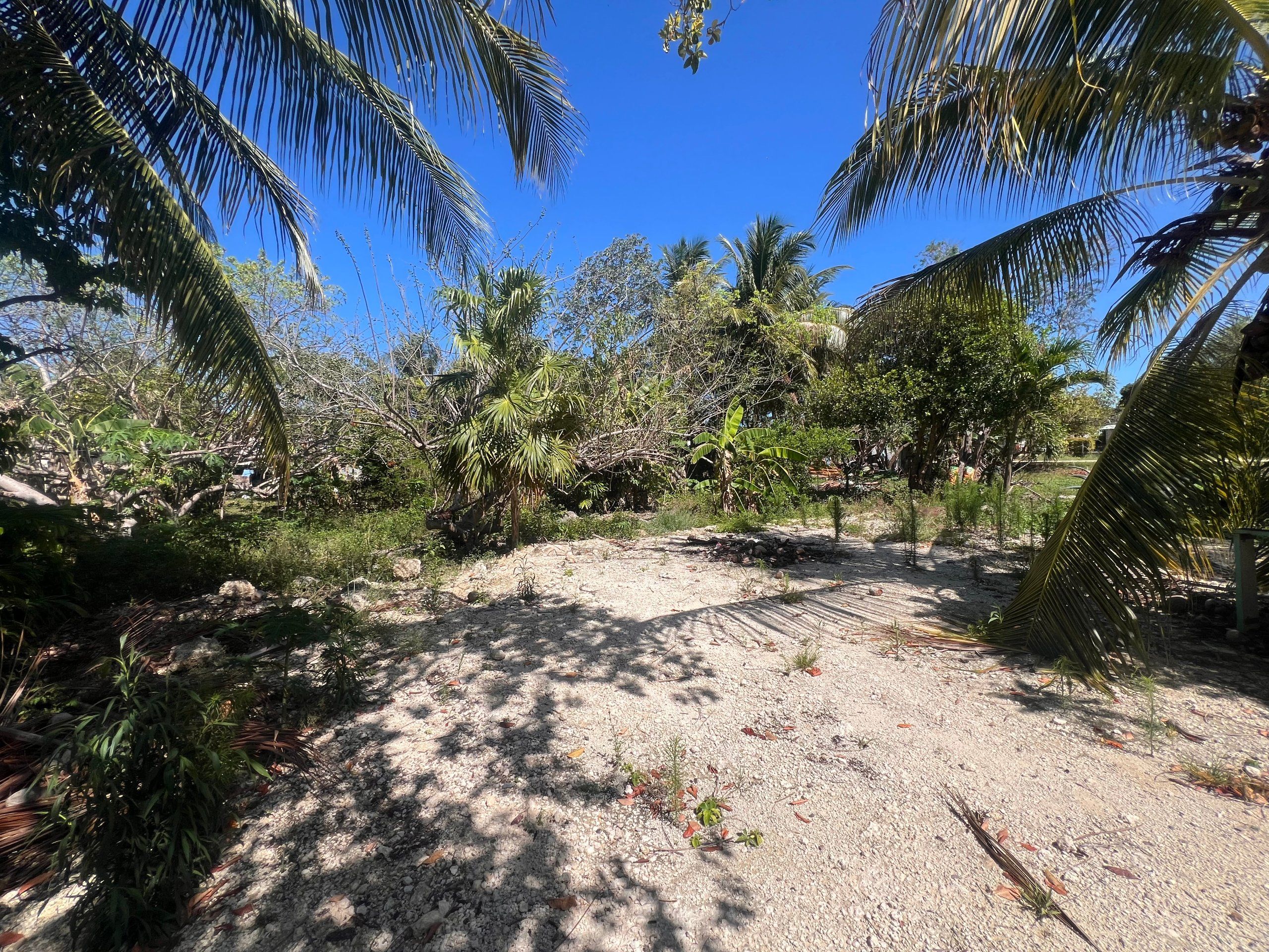 Brand New 2-Bedroom Concrete Home for Sale in Sarteneja, Belize | 1,200 Sq Ft | 849.3 Sq M Lot — view 5