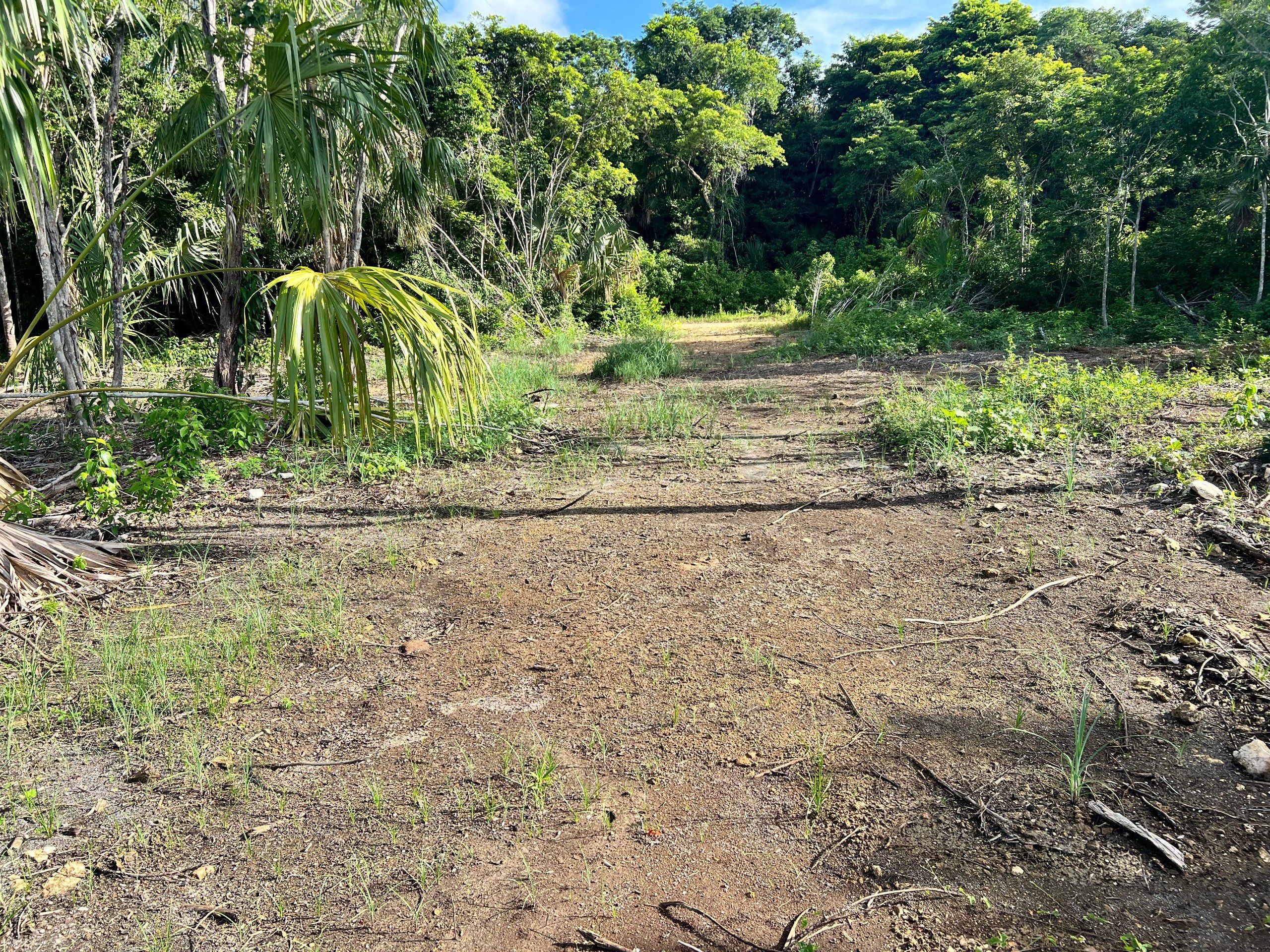 0.51 Acre Beachfront Property for Sale in Warree Bight, Corozal, Belize | Sandy Beach, Well & Road Access — view 5
