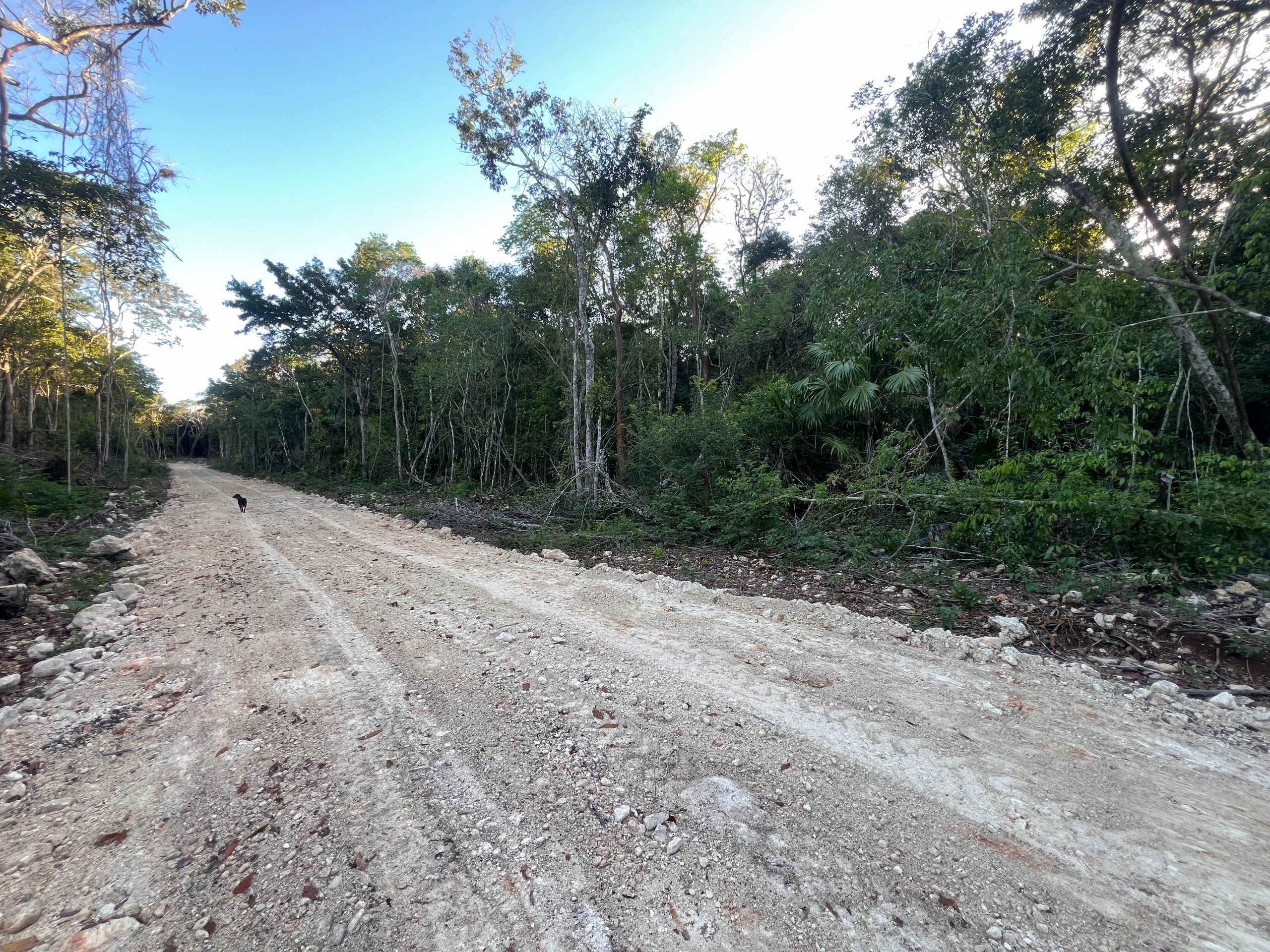 0.25 Acre Seaview Lots for Sale in Warree Bight Corozal Belize | Santiago Coastal Estates Near Corozal Bay | Affordable Coastal Land from $45K USD in Belize — view 4