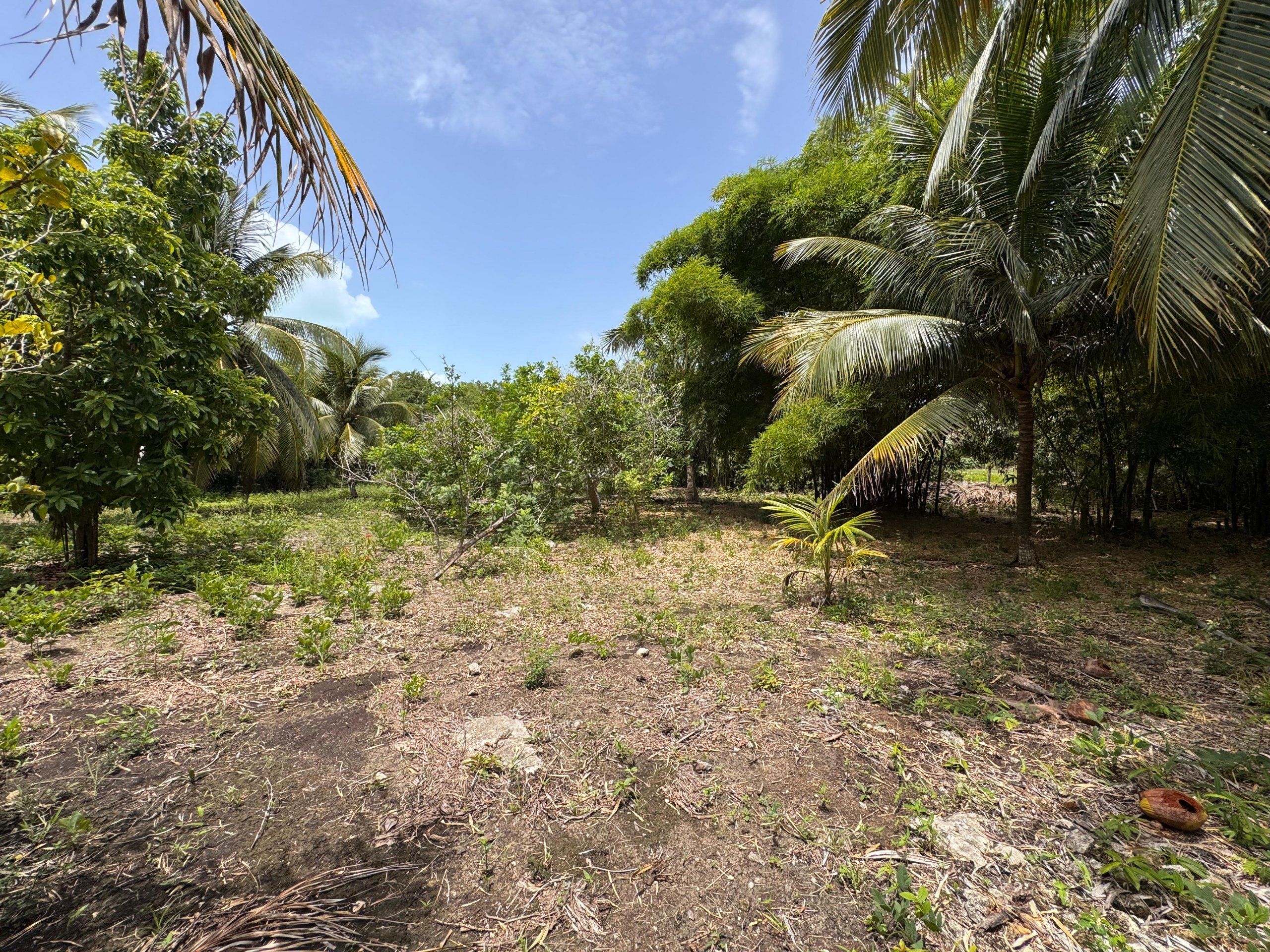 Lagoon View Land for Sale in Copper Bank Village, Corozal, Belize – 668 Sq. Meter Ready-to-Build Lot — view 3