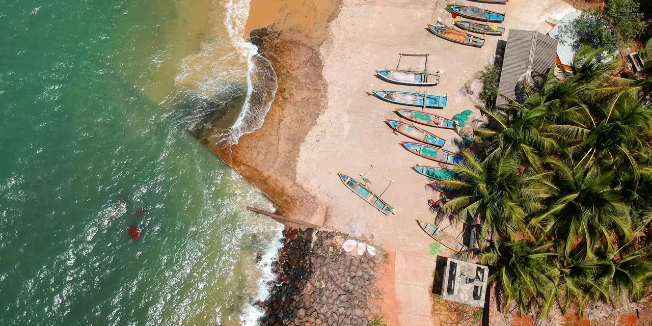 Stunning aerial view of colorful boats along the tropical Malvan beach in India, lined with lush palm trees.
