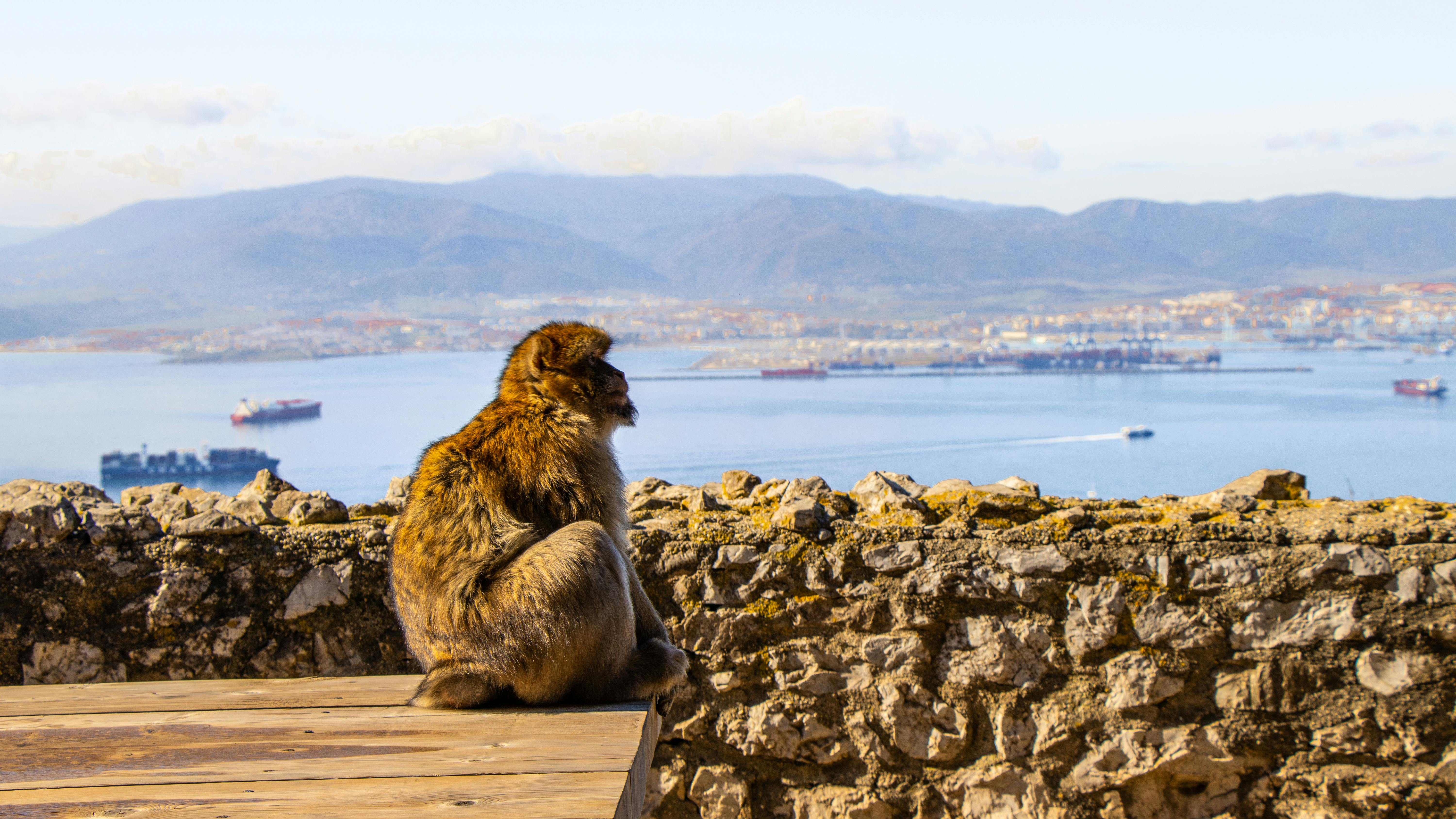 Gibraltar healthcare guide