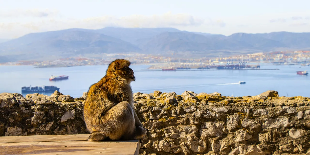 Gibraltar healthcare guide