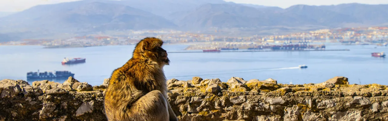 Gibraltar healthcare guide