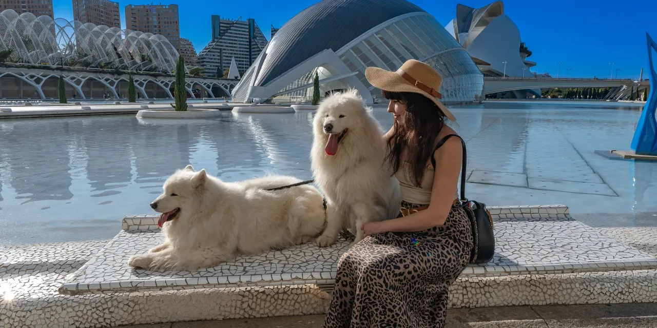 A woman sits with two Samoyed dogs by the City of Arts and Sciences in Valencia on a sunny day.