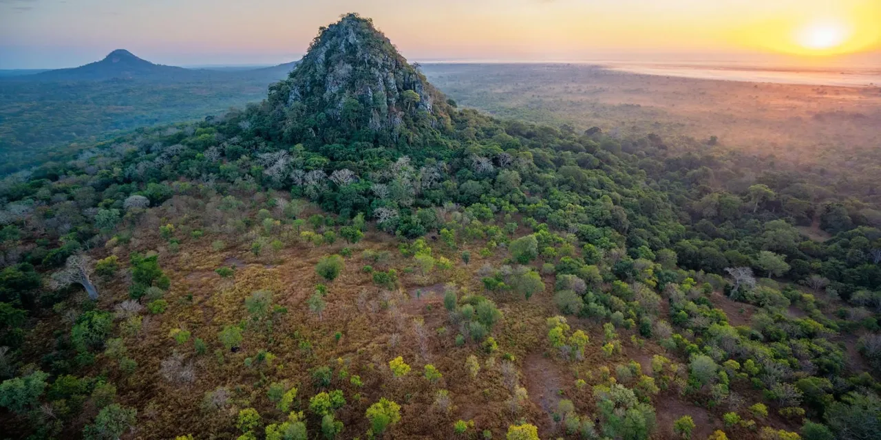 Aerial view of a jungle-covered inselberg rising above the savanna at sunset, Mozambique