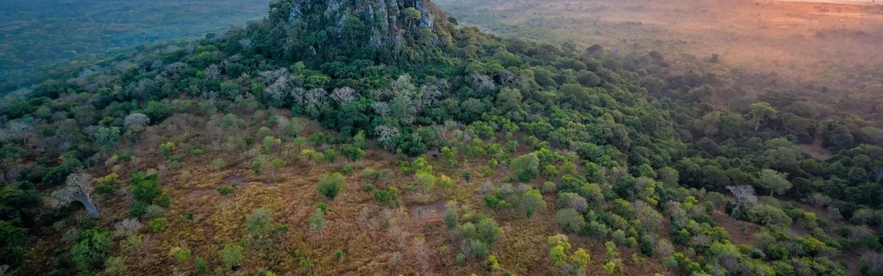 Aerial view of a jungle-covered inselberg rising above the savanna at sunset, Mozambique