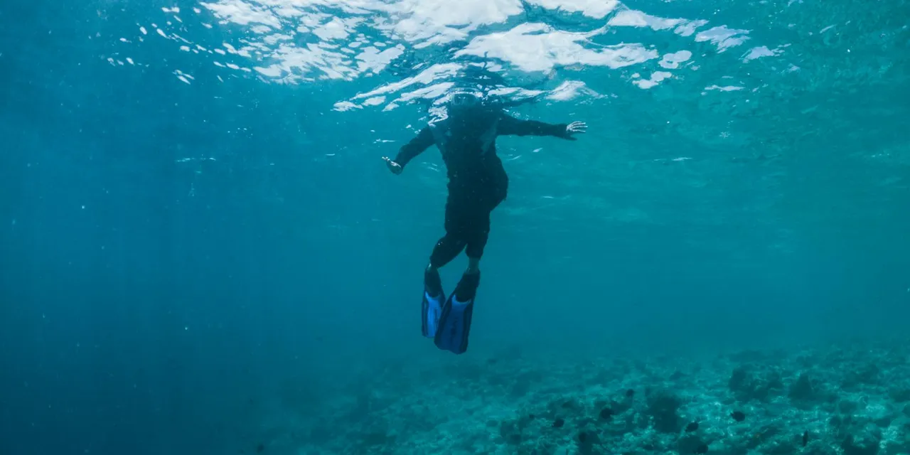 Underwater shot of anonymous snorkeler in flippers and wetsuit swimming in transparent blue seawater