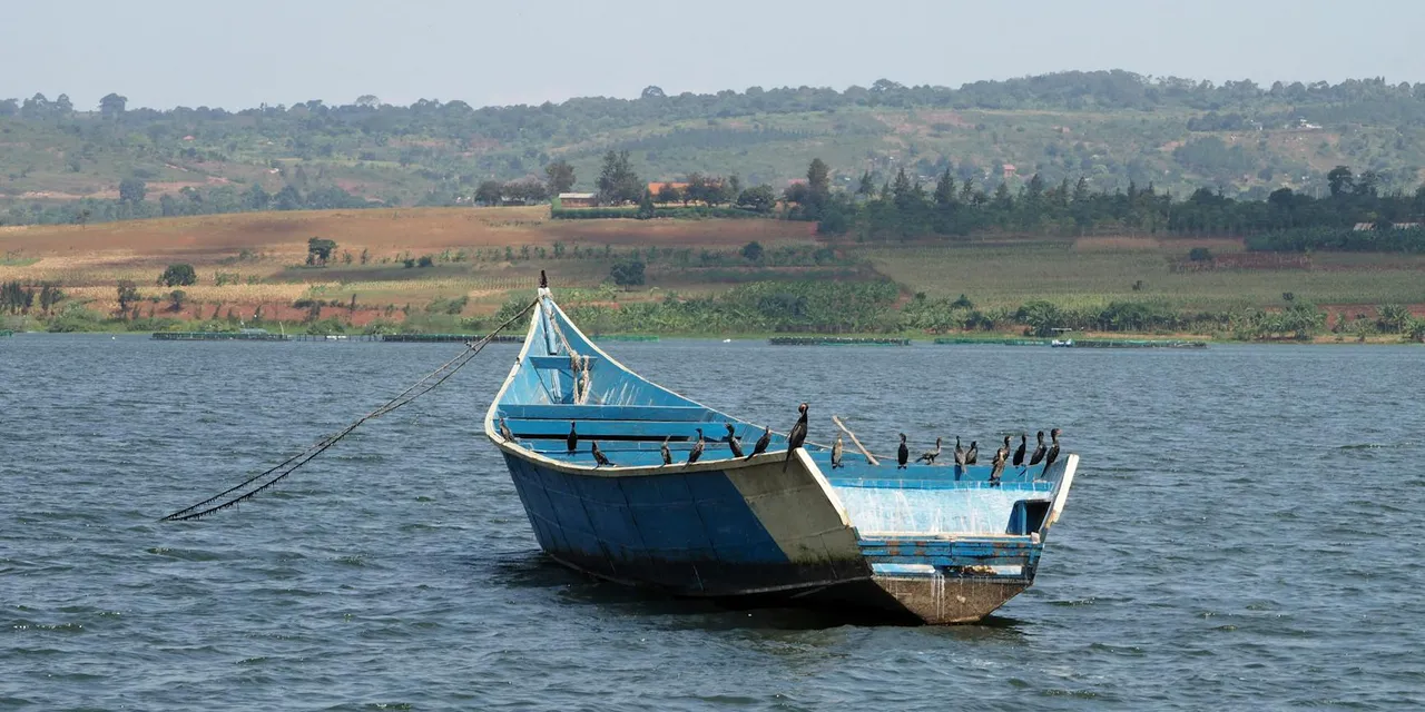 A scenic view of a wooden boat moored on Lake Victoria near Jinja, Uganda, with birds perched on it.
