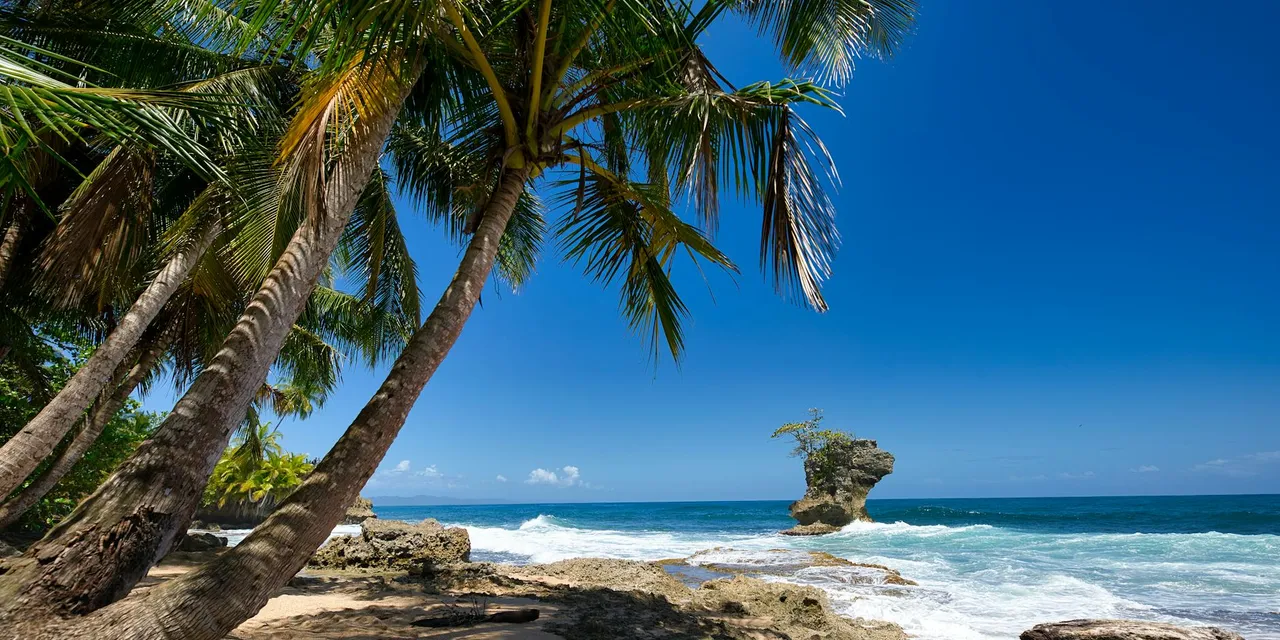 Tropical beach in Limón, Costa Rica with palm trees and rock formations under clear skies.