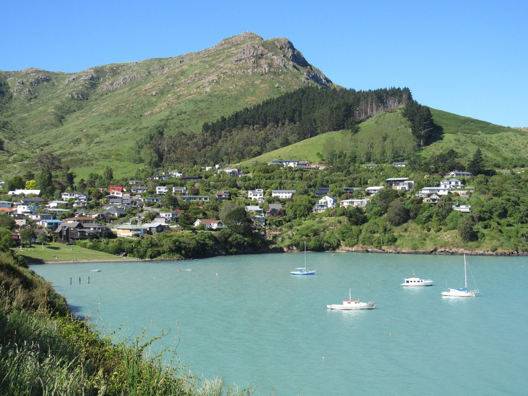 Beautiful coastal village with lush mountains and serene waters in New Zealand.