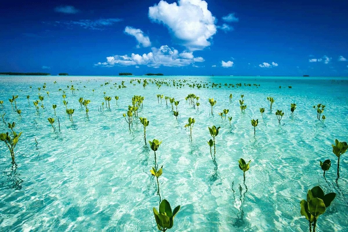 Clear blue waters in Tuvalu