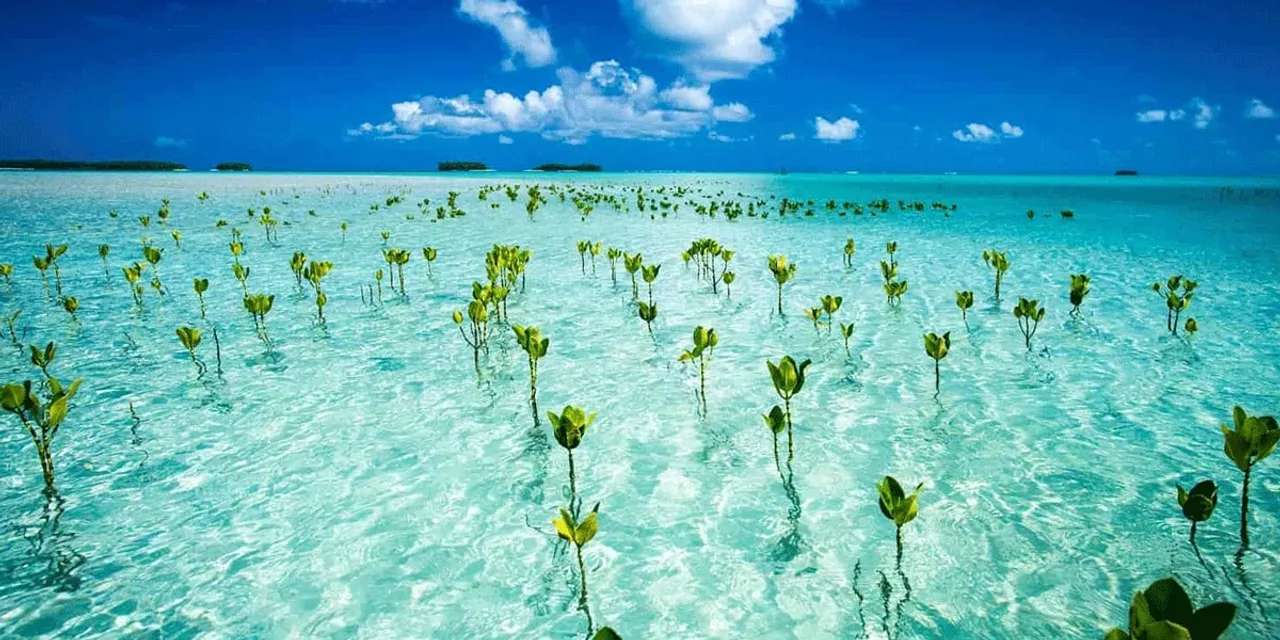 Clear blue waters in Tuvalu
