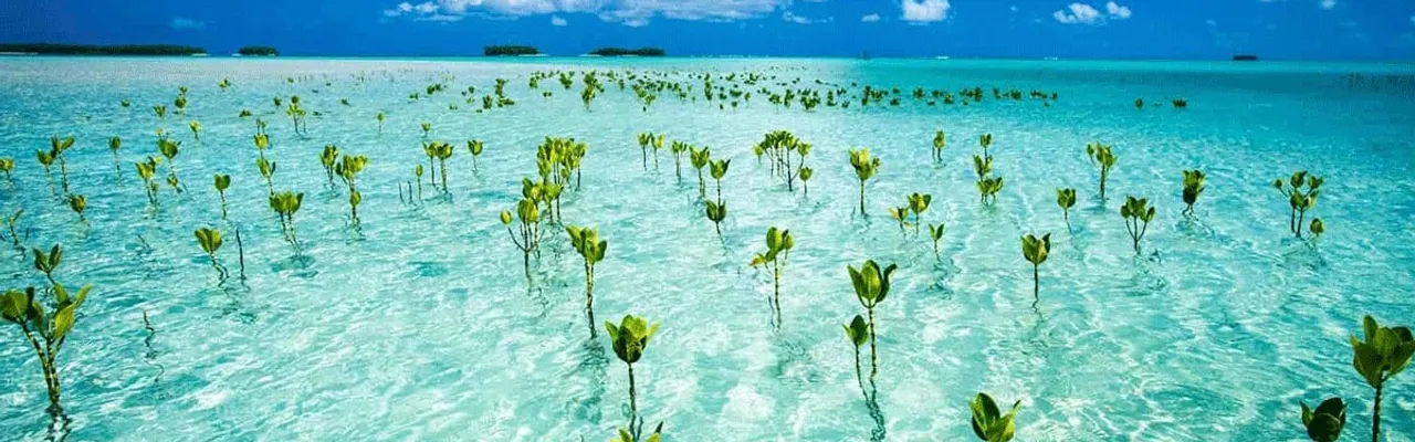 Clear blue waters in Tuvalu