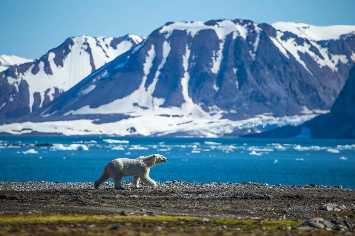 Svalbard and Jan Mayen healthcare guide
