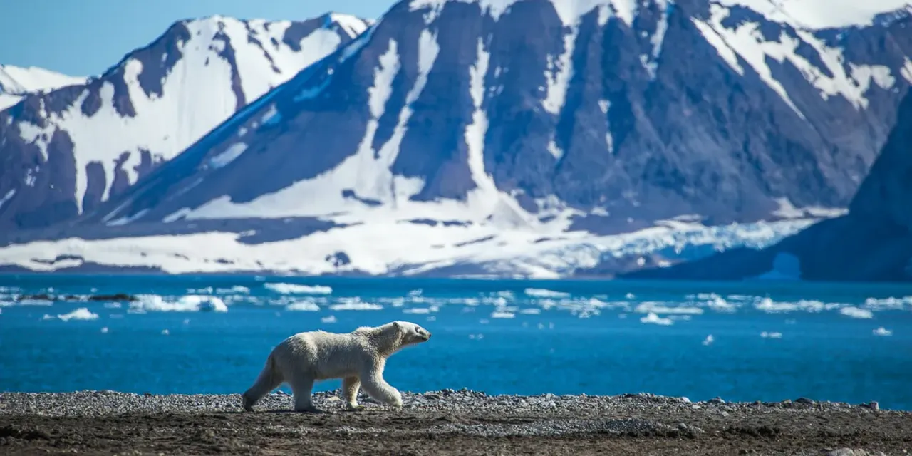 Svalbard and Jan Mayen healthcare guide