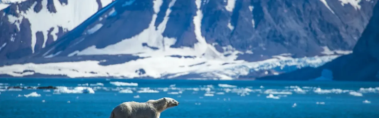 Svalbard and Jan Mayen healthcare guide