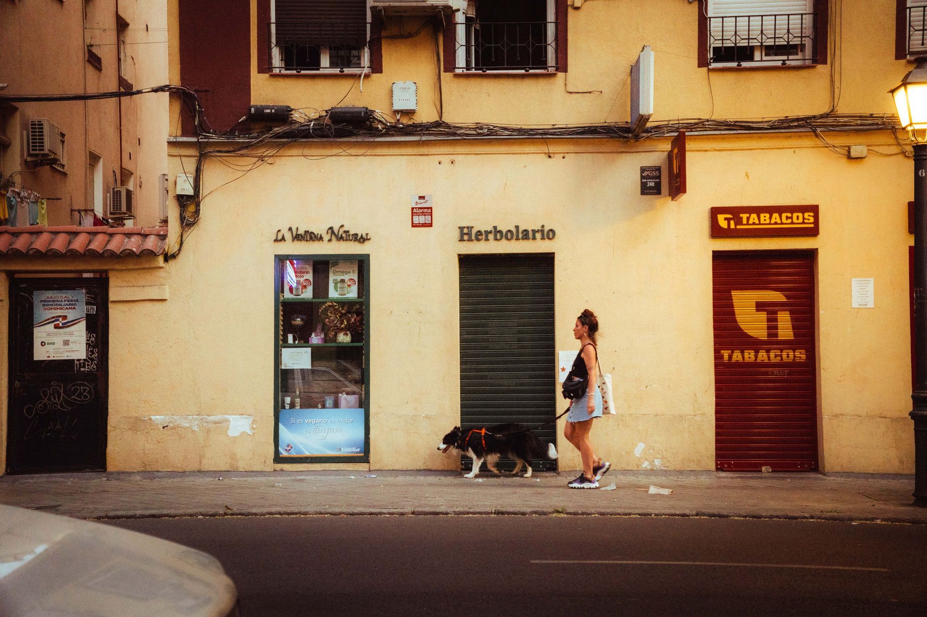 A woman walking her dog past storefronts on a street in Madrid.
