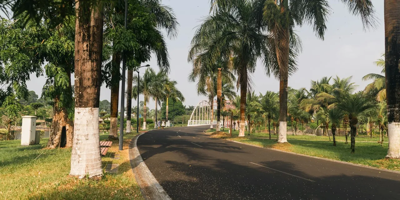 Peaceful road lined with palm trees in Malabo, Equatorial Guinea.