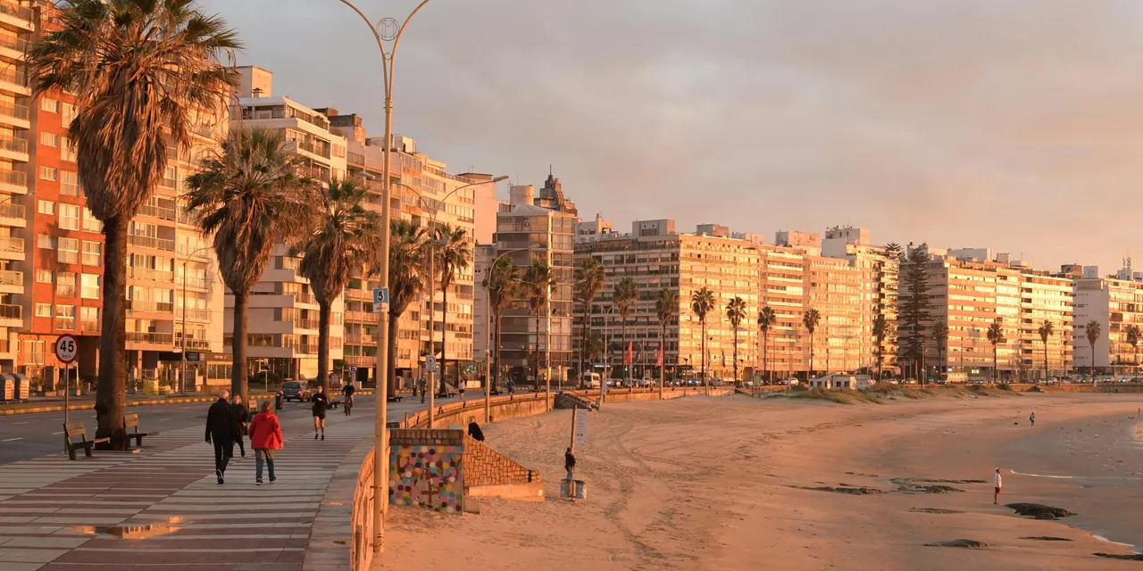 Pocitos beachfront promenade with palm trees at golden hour, Montevideo, Uruguay