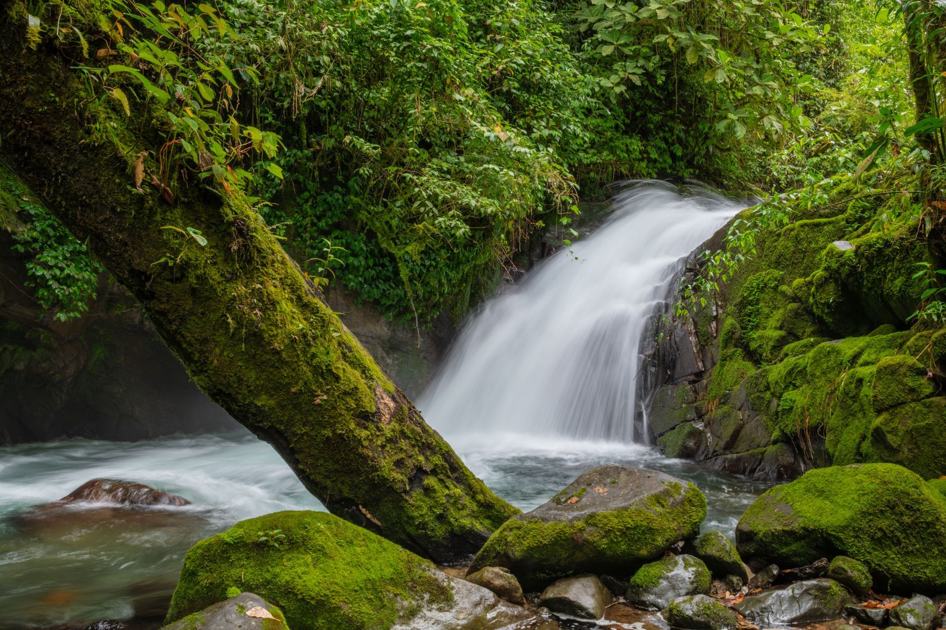 Vibrant rainforest waterfall with moss-covered rocks in Costa Rica's lush landscape.