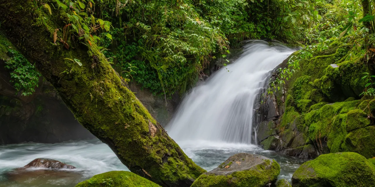 Vibrant rainforest waterfall with moss-covered rocks in Costa Rica's lush landscape.