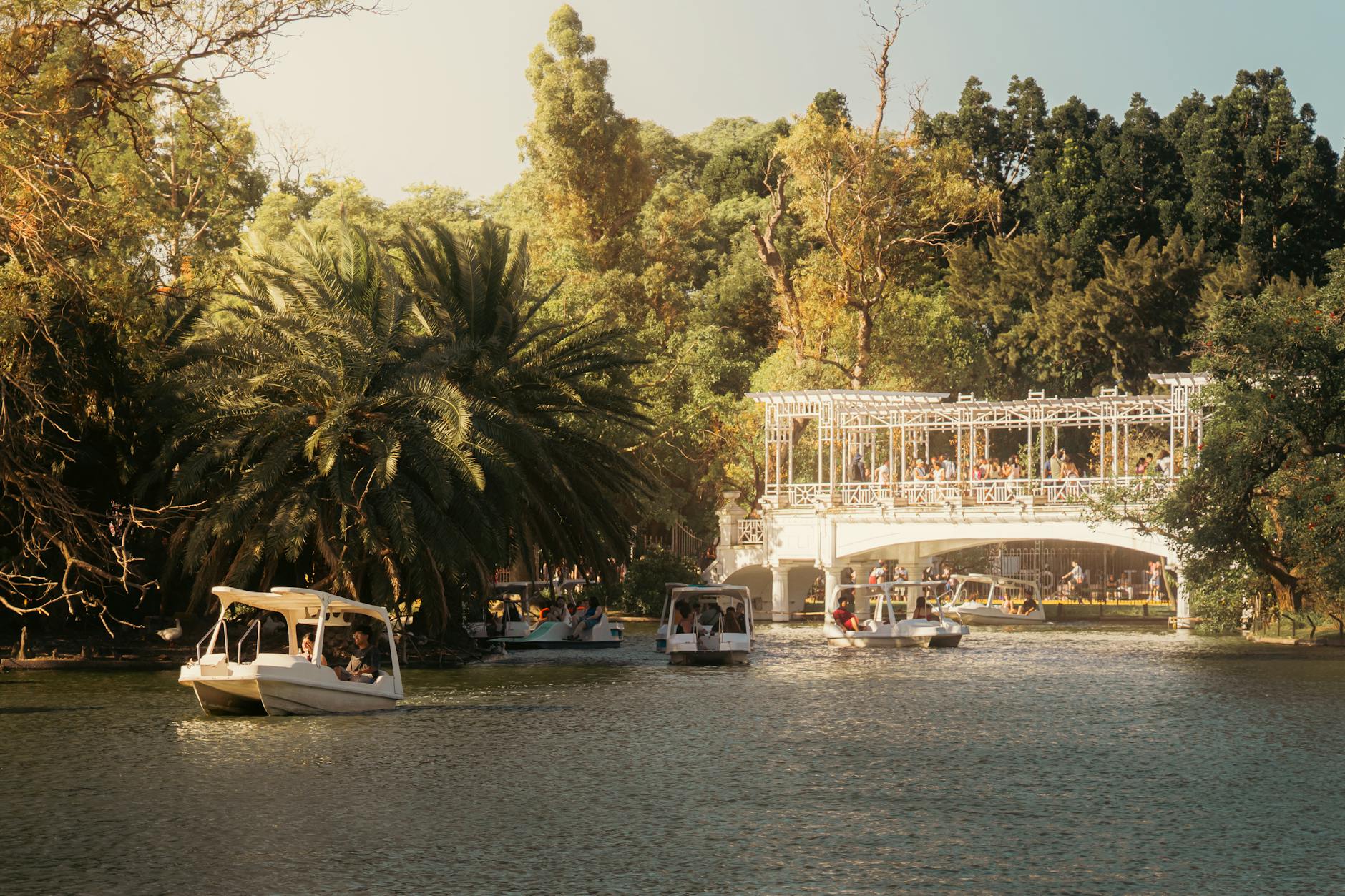 Boaters enjoy a sunny day under a white bridge in a lush park.