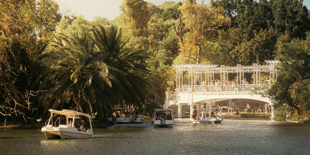 Boaters enjoy a sunny day under a white bridge in a lush park.