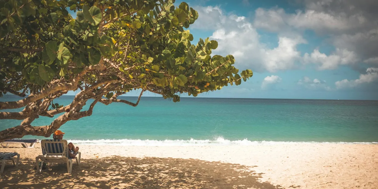 Relaxing at a serene tropical beach in Grenada under the shade of a tree with a stunning ocean view.