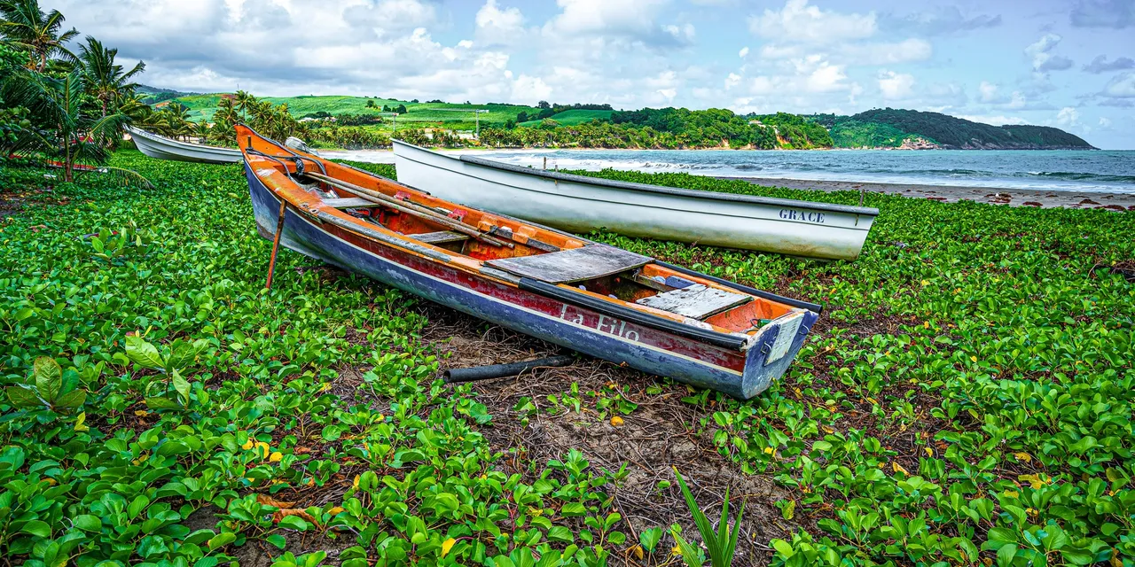 Fishing boats resting on a lush Caribbean shore, Guadeloupe