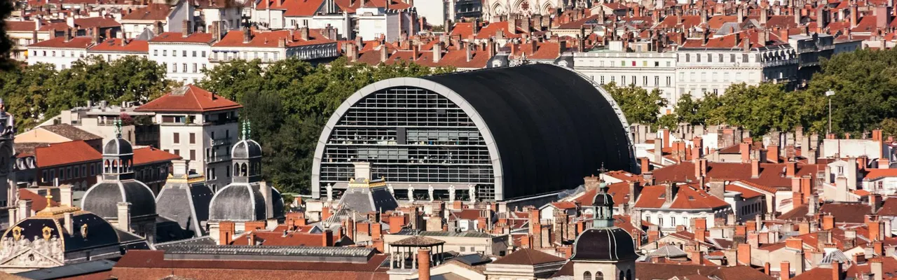 Explore a vibrant aerial view of Lyon, France, showcasing historic rooftops and unique architecture.