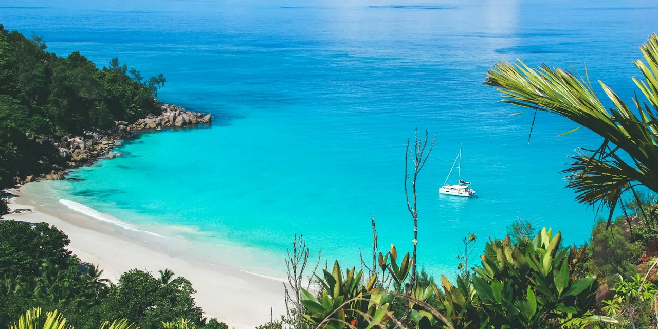 Stunning tropical beach in Seychelles with crystal-clear turquoise water and lush greenery.