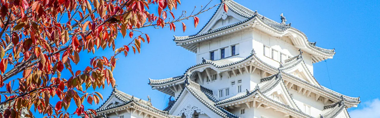 A stunning view of Himeji Castle with vibrant autumn leaves against a clear blue sky.