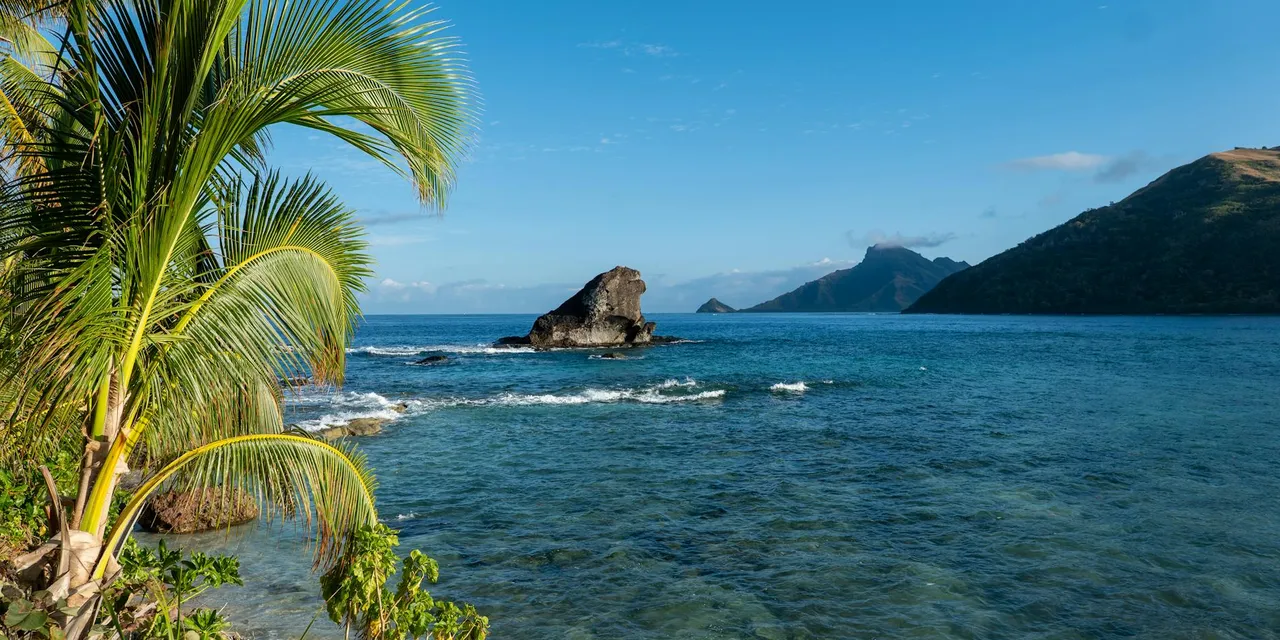 Experience the tranquil beauty of Fiji with lush palm trees by the crystal clear ocean, perfect for tropical escapes.