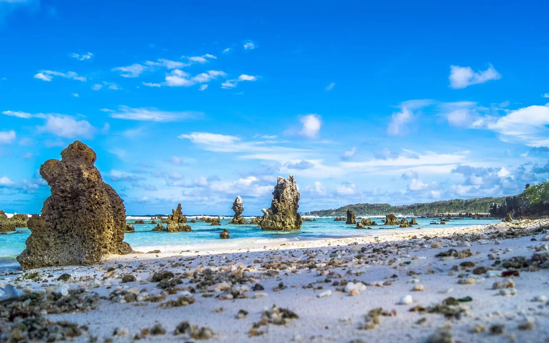 Nauru Coastline