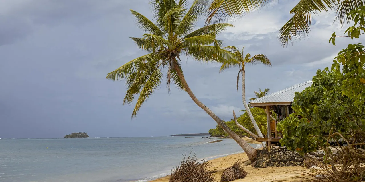 Relaxing tropical beach scene in Apia, Samoa with palm trees and blue ocean waters.