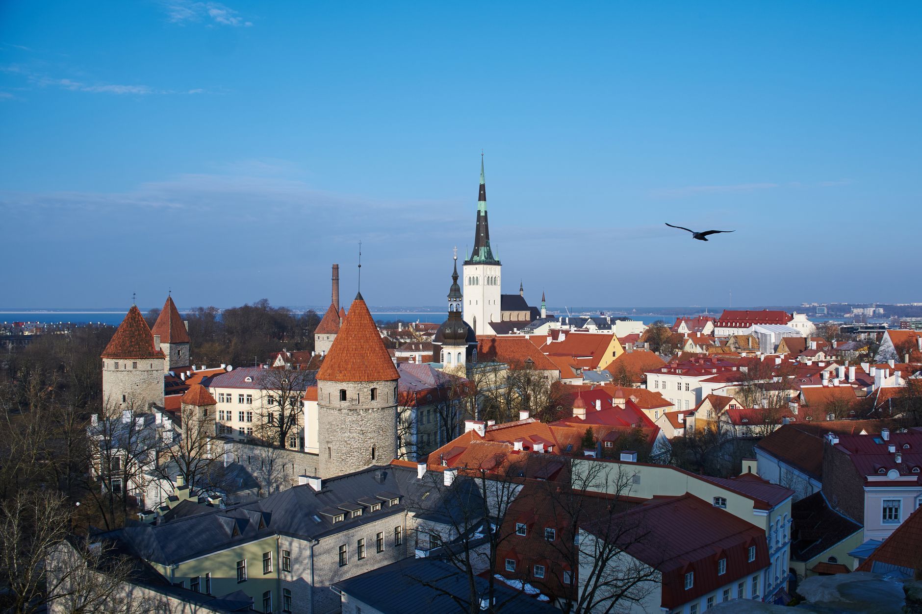 A picturesque aerial view of Tallinn's historic old town with iconic red roofs and church spires.