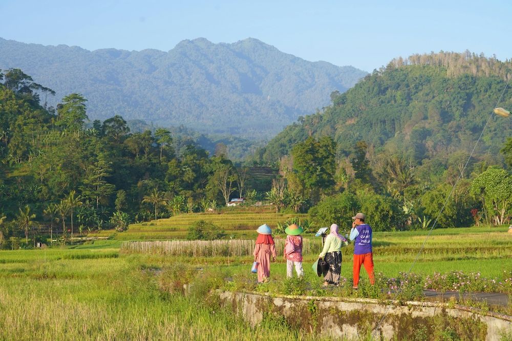 Travellers with ADHD in the Indonesian countryside