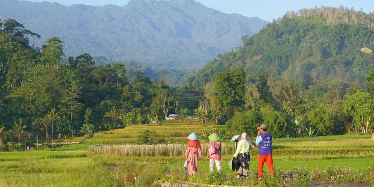 Travellers with ADHD in the Indonesian countryside