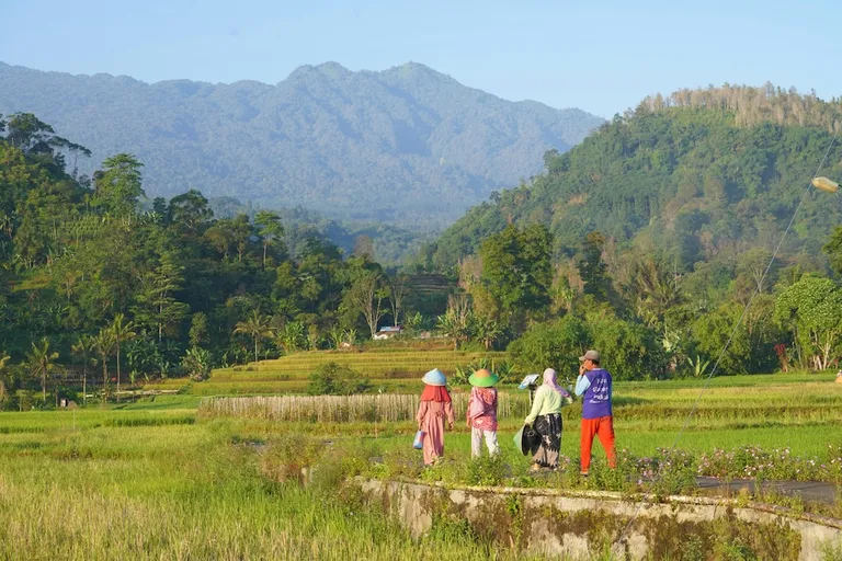 Travellers with adhd exploring the indonesia countryside