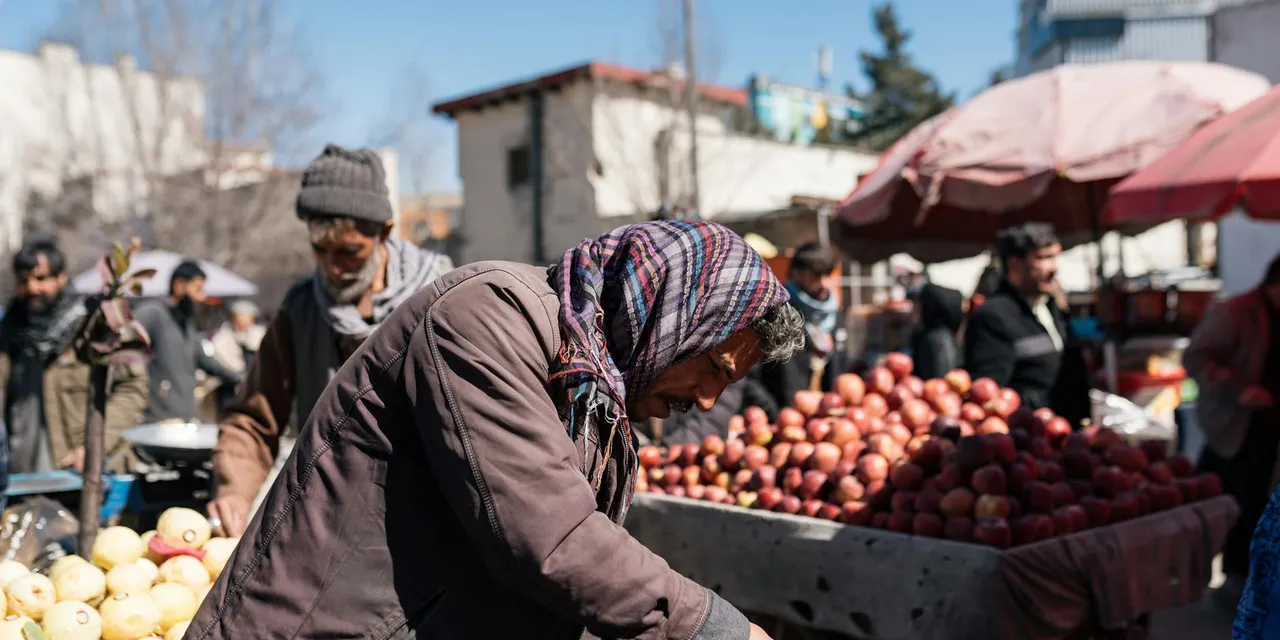 A bustling outdoor market in Afghanistan, showcasing vendors and fresh produce under a clear sky.