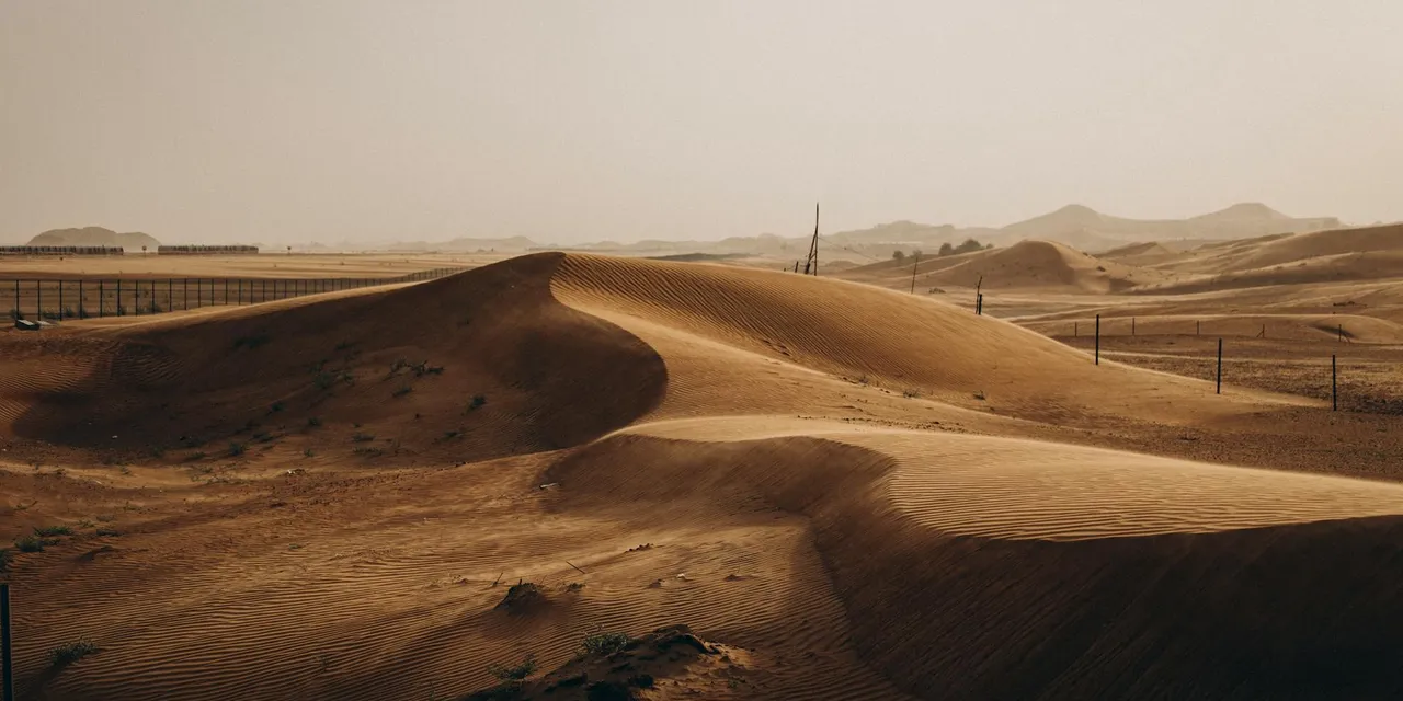 Captivating golden sand dunes in Al Ain, showcasing the serene beauty of the UAE desert under a setting sun.