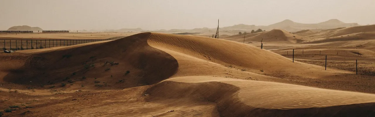 Captivating golden sand dunes in Al Ain, showcasing the serene beauty of the UAE desert under a setting sun.