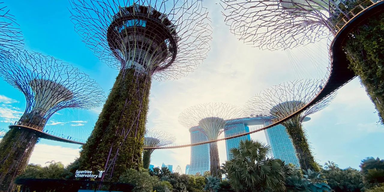 Supertrees at Gardens by the Bay with Marina Bay Sands in the background, Singapore