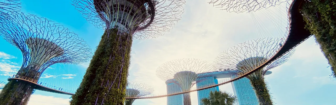 Supertrees at Gardens by the Bay with Marina Bay Sands in the background, Singapore